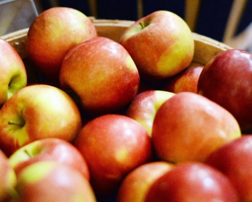 食安中心提醒市民留意腐爛的蘋果。AP資料圖片