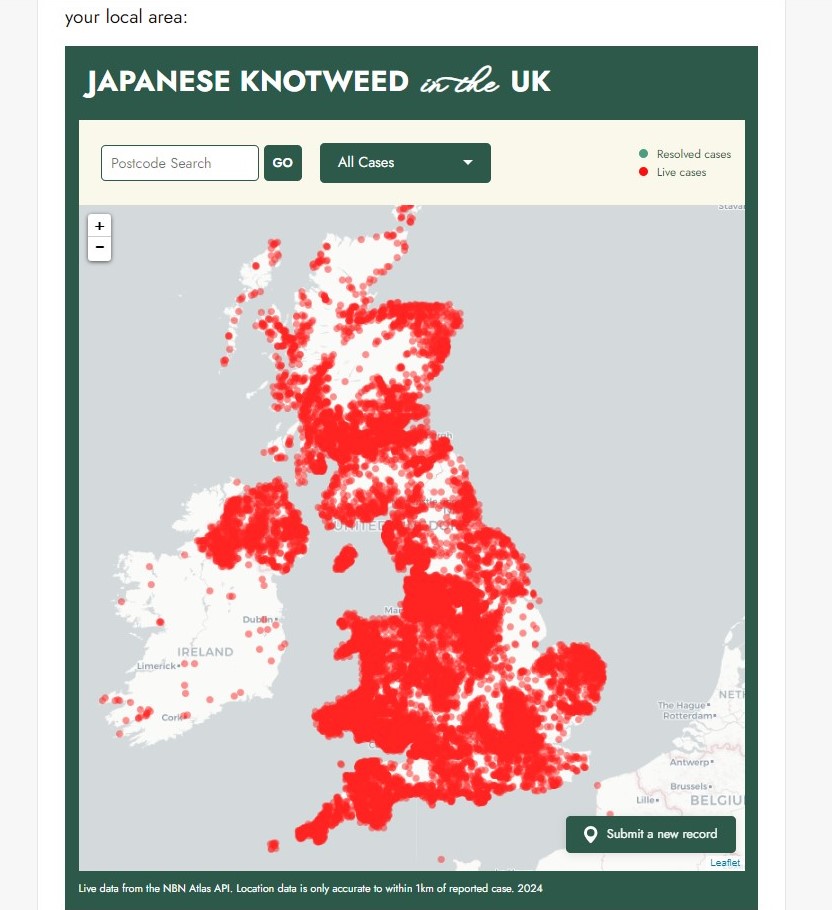英國設有日本虎杖個案網站，可了解植物在英國當地的分佈情況