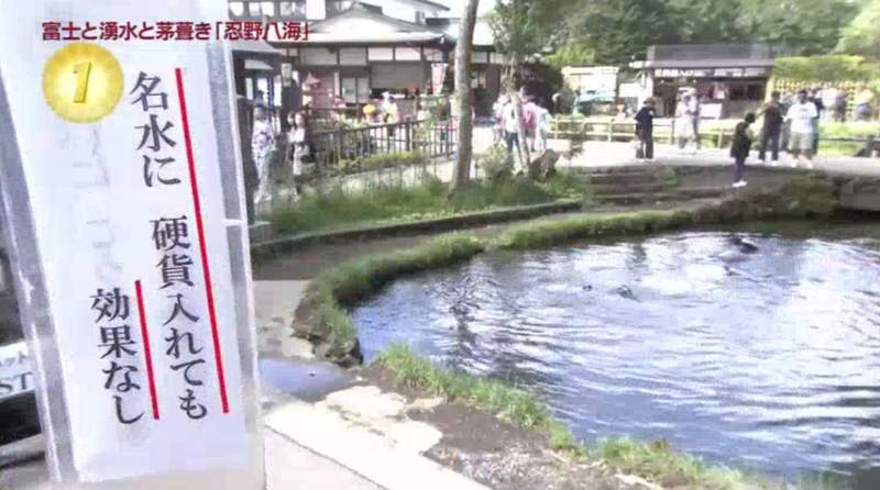 池边设有“禁止投掷物品”的告示牌。网上图片