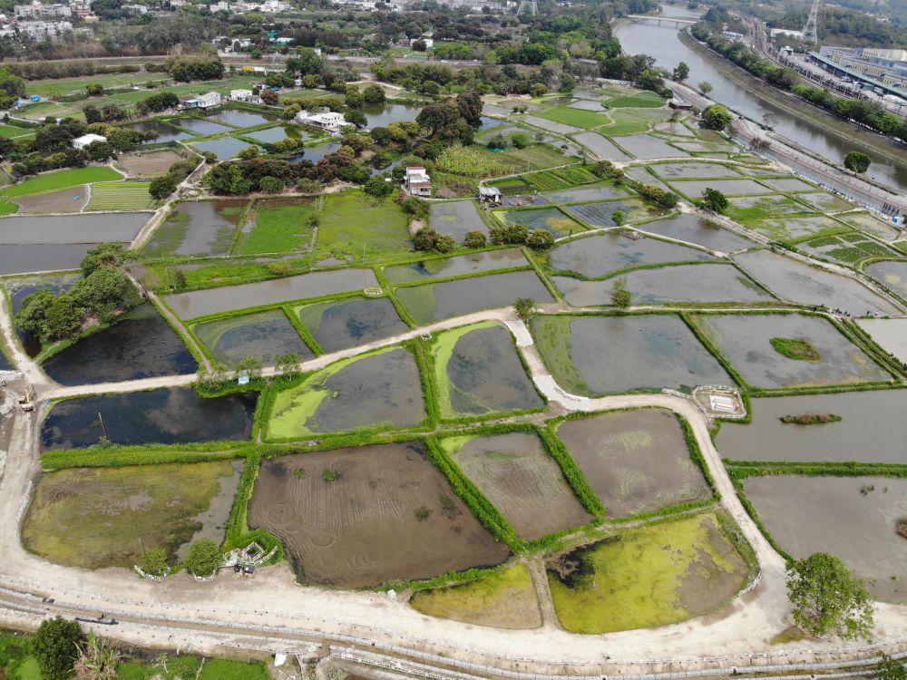 塱原約37公頃土地將發展成自然生態公園，以保護和改善重要的生態環境。 發展局圖片