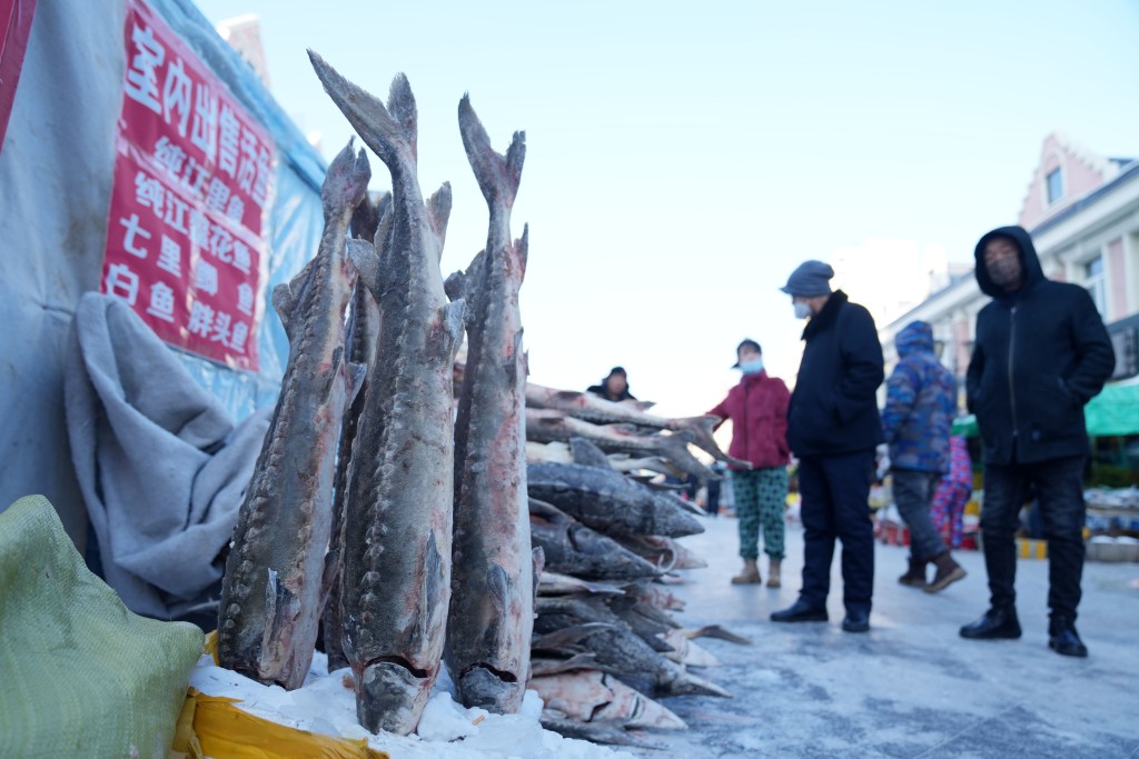 撫遠市東極魚市拍攝的待售鱘魚。新華社