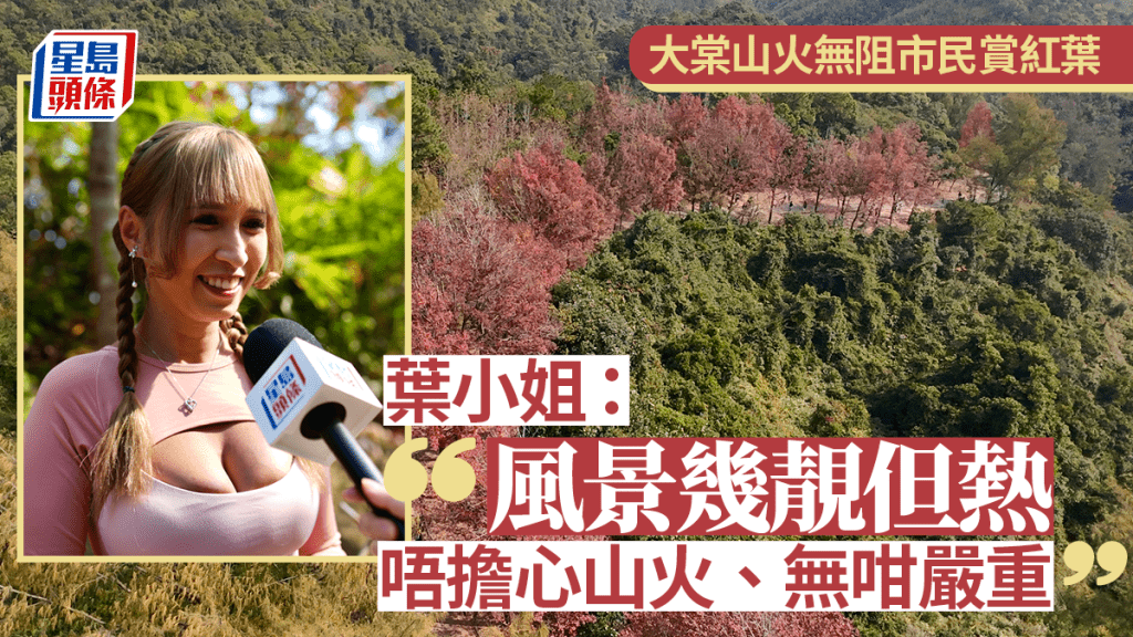 大棠紅葉．多圖｜山火無阻港人上山打卡  有市民指紅葉景觀遜往年