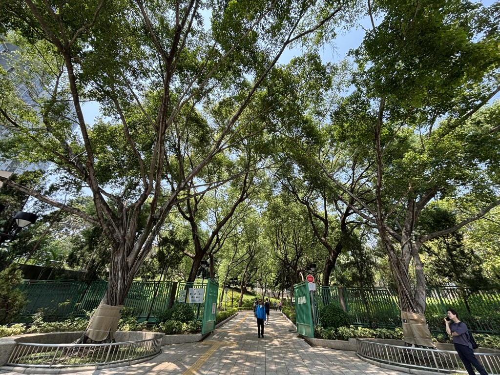 （圖片來源：《親子王》）
