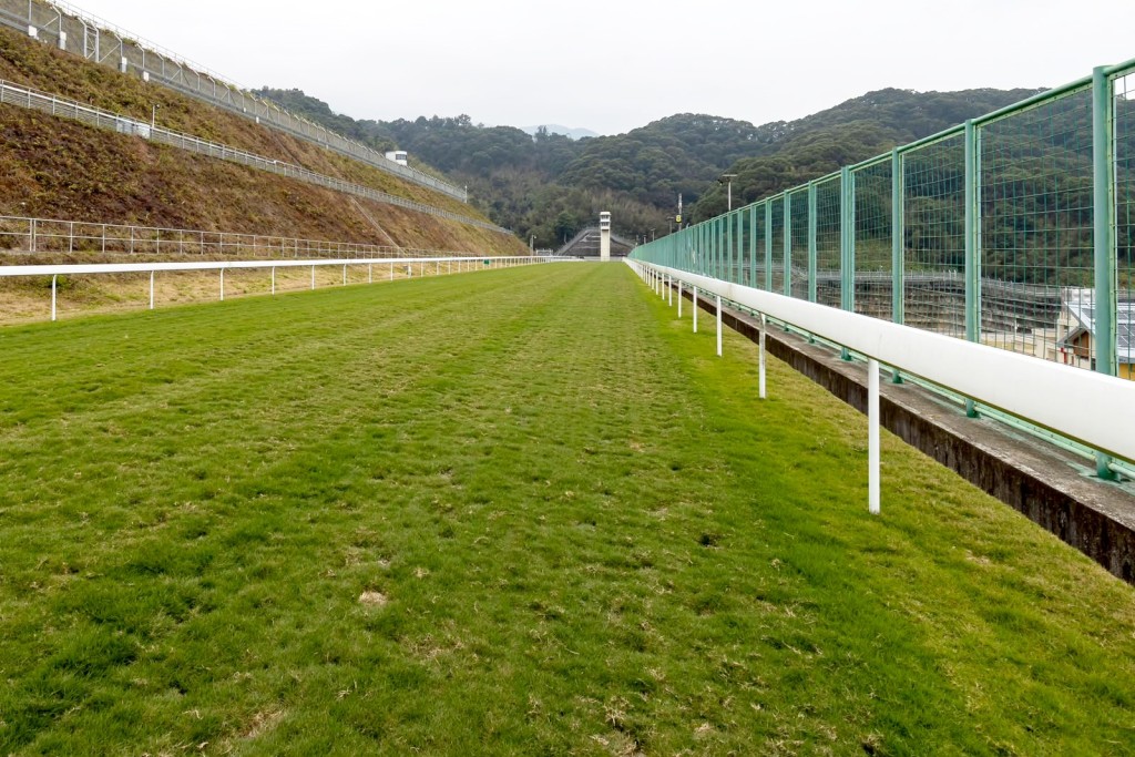 從化馬場設有一條馬匹專用「登山訓練跑道」,全長1100百米,能有效鍛煉馬匹耐力。 從化馬場設有一條馬匹專用「登山訓練跑道」,全長1100百米,能有效鍛煉馬匹耐力。