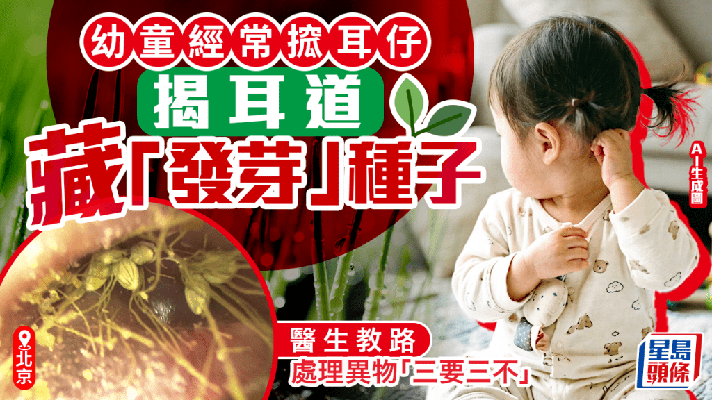 醫療奇聞｜1歲童頻抓耳揭耳道藏多顆種子「發芽」 醫生教路處理異物「三要三不」