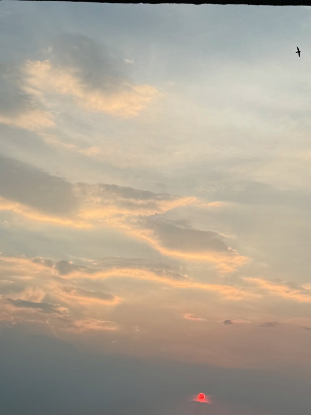 阿Mo在同一帖文中發布了多張與他近日生活相關的照片。 阿Mo在同一帖文中發布了多張與他近日生活相關的照片。
