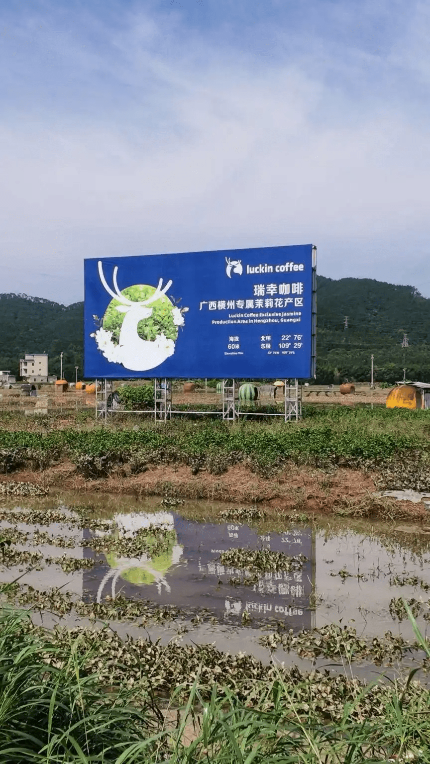 瑞幸咖啡廣西橫州專屬茉莉花產區。 瀟湘晨報