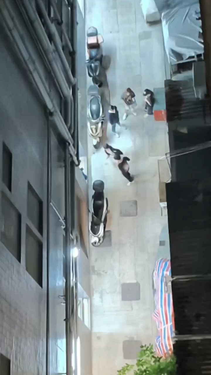 一名少年與一名黑衣男子在後巷拳來腳往。網上片段截圖