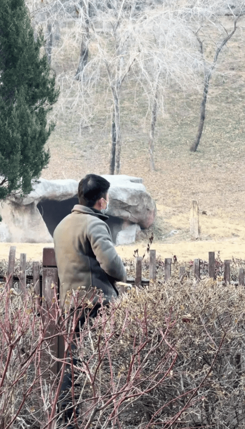 男子在圍欄旁站立。極目新聞