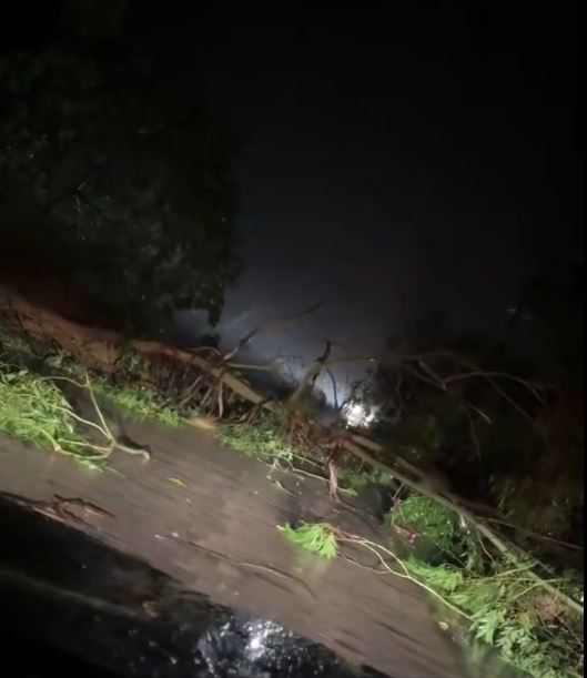 廣西玉林14日晚受颱風帶來大暴雨，發生水浸及山泥傾瀉，造成3死。抖音
