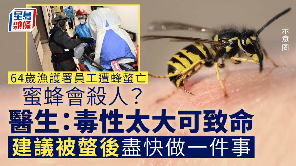 野蜂殺人｜黃蜂及蜜蜂會螫人  醫生：毒性太大會致命