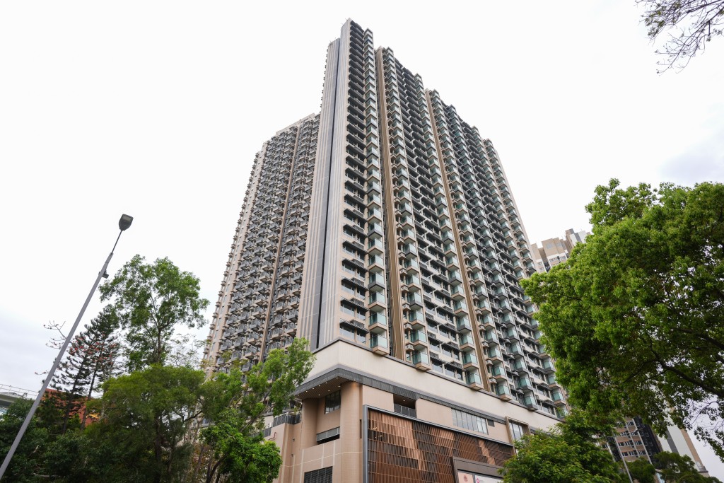 專用安置屋邨「樂嶺都匯」位於粉嶺百和路。