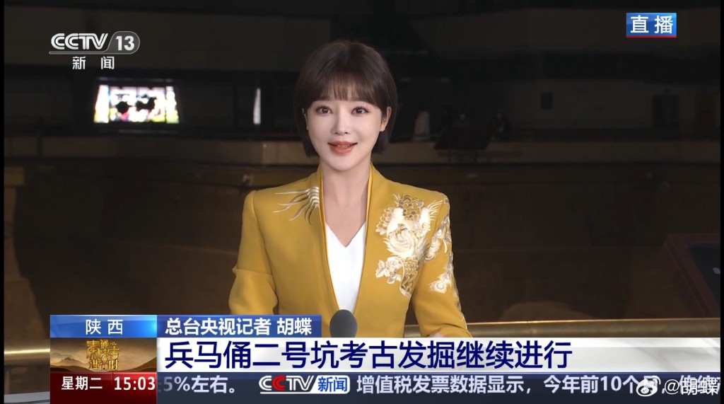 央視美女主播胡蝶 央視美女主播胡蝶
