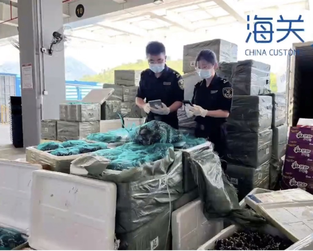 海关共检获227箱走私大闸蟹。