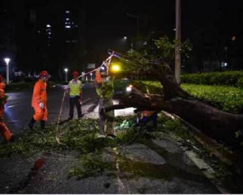 截至昨晚,颱風「山竹」導致廣東省最少2人死亡。新華社圖片