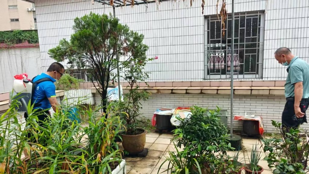 佛山全市大力滅蚊,有機構因清理積水不力被行政處罰。南方+