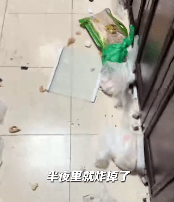 雪柜被炸得“粉身碎骨”，现场一片狼藉。