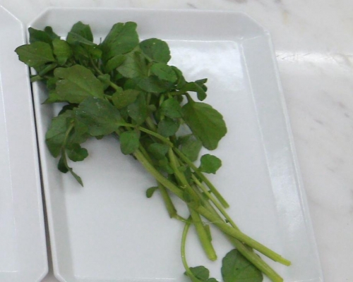 西洋菜。資料圖片