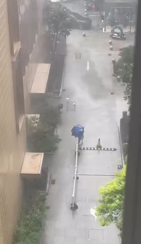 颱風「竹節草」吹襲上海，高速公路限速，渡輪停航，有3成航班延誤或取消。小紅書