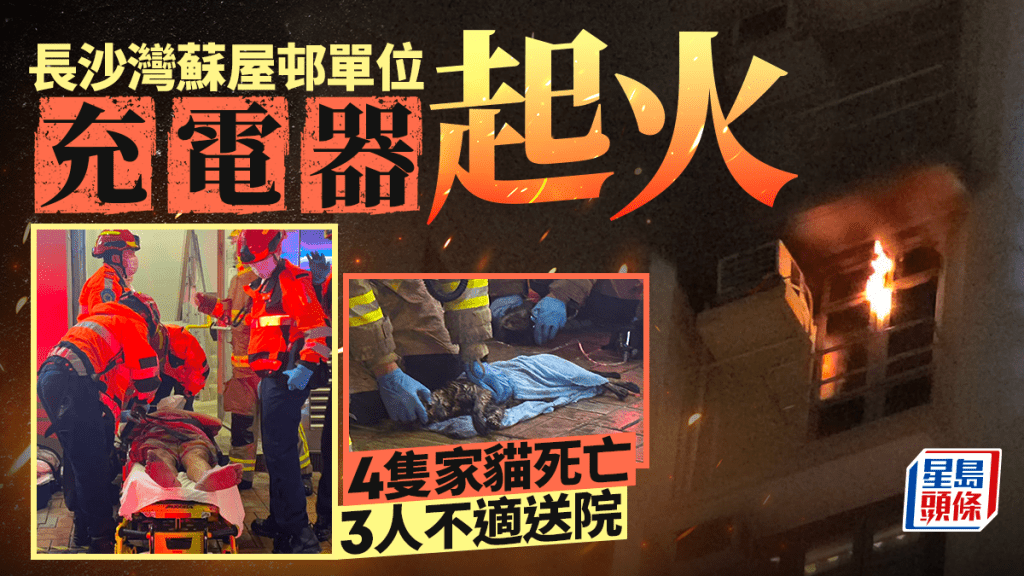 長沙灣蘇屋邨單位充電器起火 3人不適送院 4家貓不治