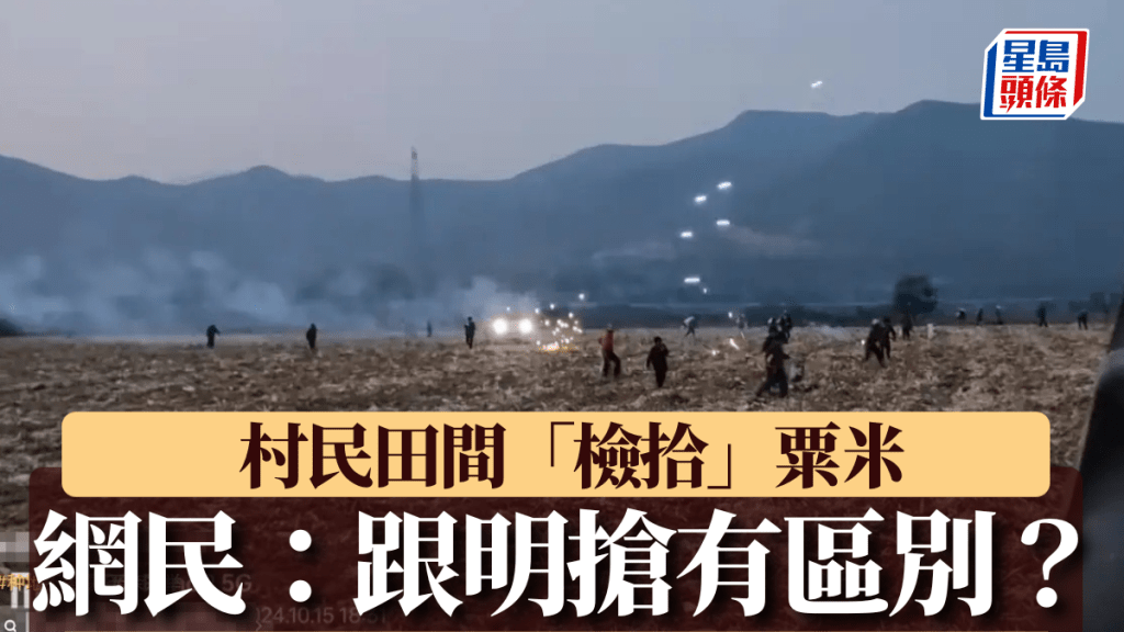在田間「檢拾」粟米的人遭射煙花驅趕。
