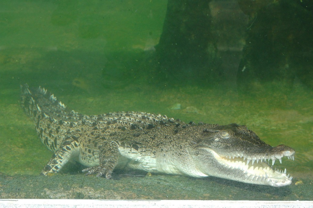 濕地公園「貝貝」(圖:濕地公園) 濕地公園「貝貝」(圖:濕地公園)