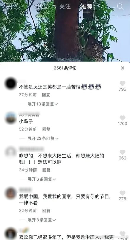 內地網民以為真係大S本人開抖音，湧入去留言。