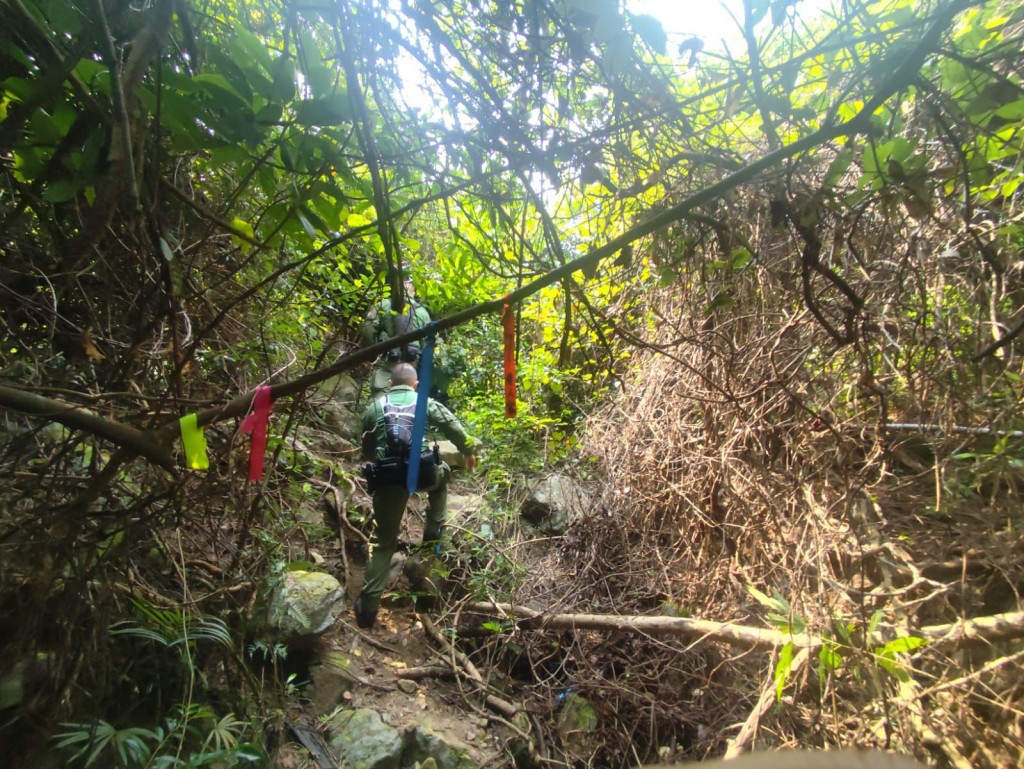 事發地方並不是主要行山路段,而且滿布密林且山勢崎嶇。 事發地方並不是主要行山路段,而且滿布密林且山勢崎嶇。