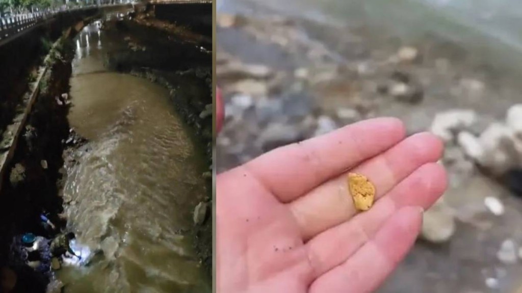 甘肅燕子河傳一盆能有5克金，數十人犯禁凌晨冒寒落水淘金。