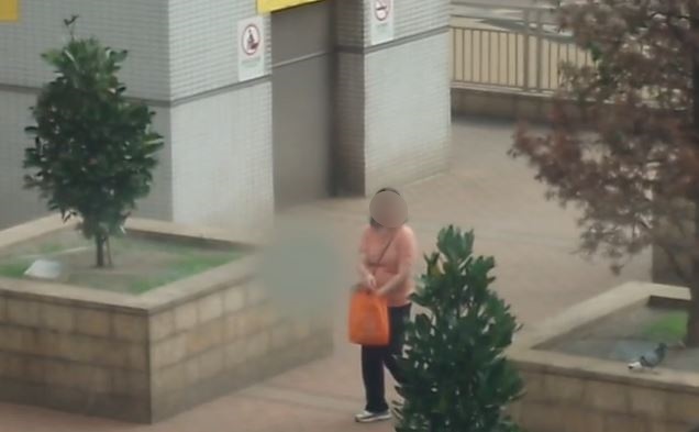 餵野鴿女子。讀者提供