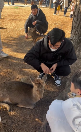 另一影片顯示，兩人是同時捉弄奈良鹿。 Instagram