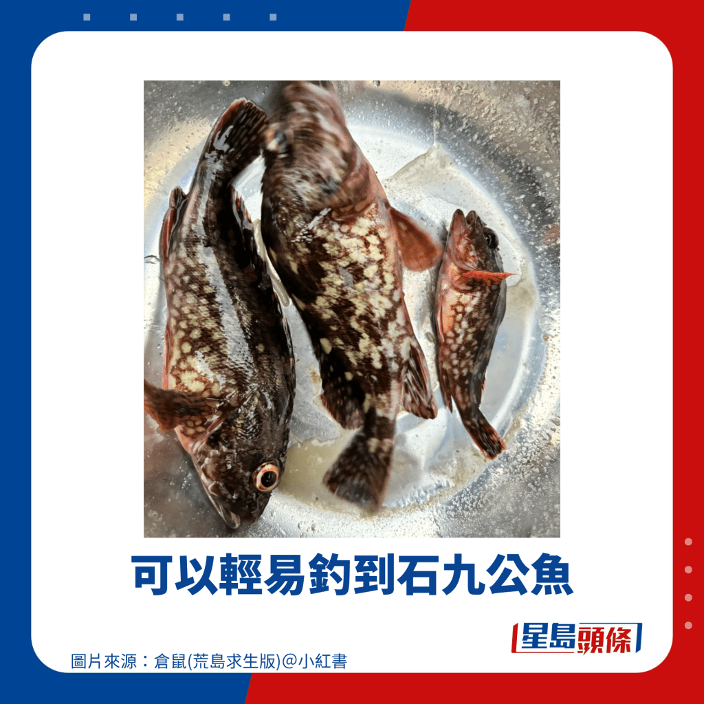 可以輕易釣到石九公魚