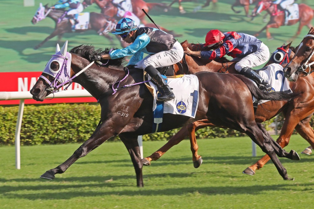 何澤堯策「新力高升」奪冠,為該駒打開本季勝門。 何澤堯策「新力高升」奪冠,為該駒打開本季勝門。