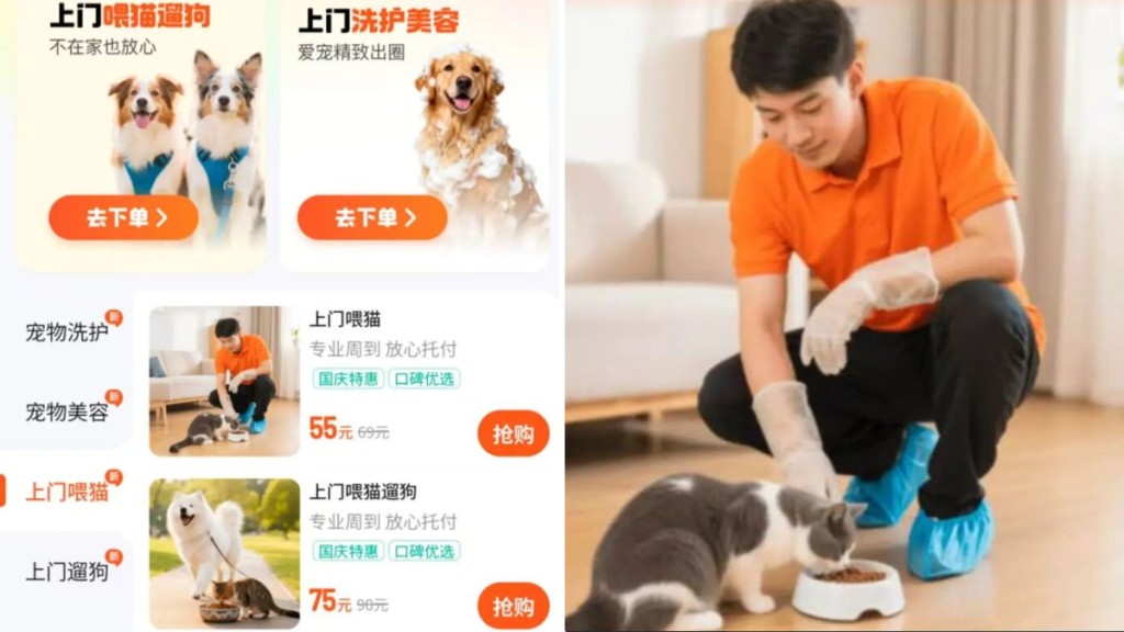 除了網約車，滴滴再新推出寵物生活服務。