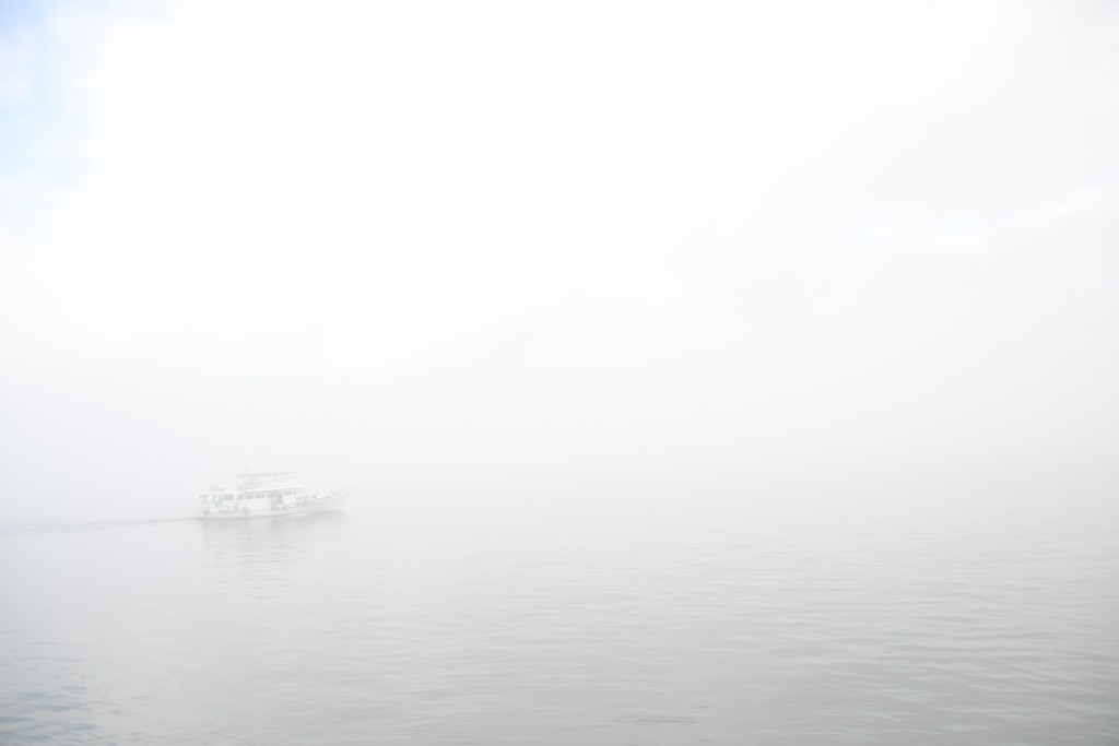 城门河雾景。黄伟强摄