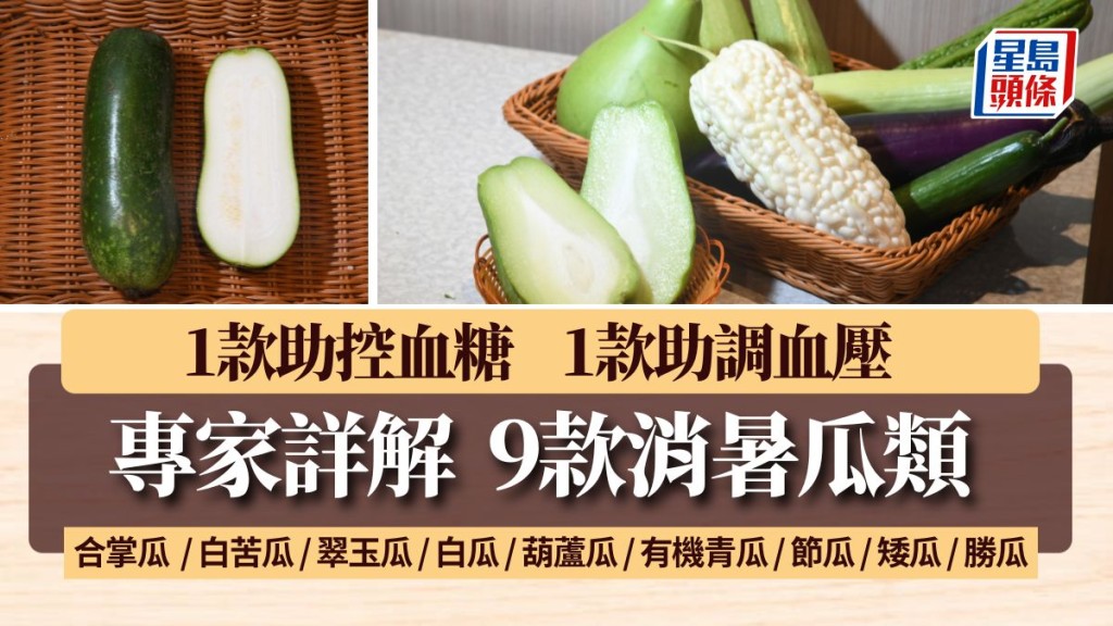 講解9款消暑瓜類 1款助控血糖 1款助調血壓 合掌瓜/白苦瓜/翠玉瓜/白瓜/葫蘆瓜/有機青瓜/節瓜/矮瓜/勝瓜｜食材知識