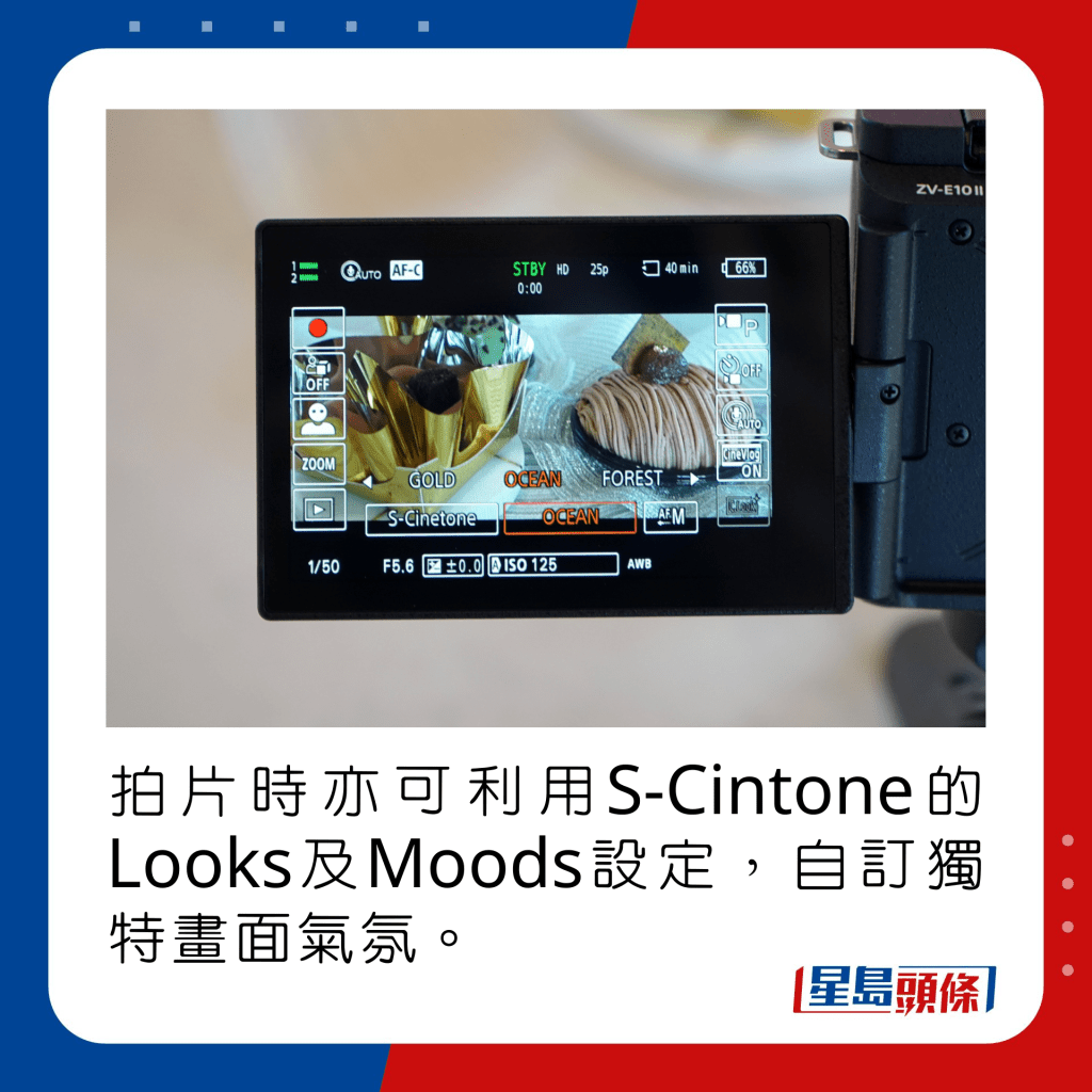 拍片时亦可利用S-Cintone的Looks及Moods设定，自订独特画面气氛。