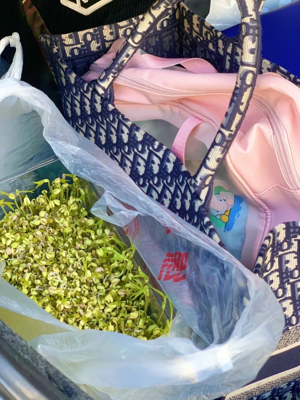 國慶長假中,許多家庭也要帶著綠豆芽出遊,讓孩子完成觀察日記功課。小紅書@落落大方女士 國慶長假中,許多家庭也要帶著綠豆芽出遊,讓孩子完成觀察日記功課。小紅書@落落大方女士