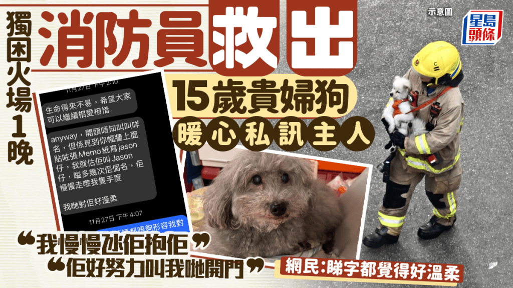 大埔宏福苑五級火｜消防員救出15歲貴婦狗 暖心通知主人「生命得來不易」 網民：睇字都覺得好溫柔