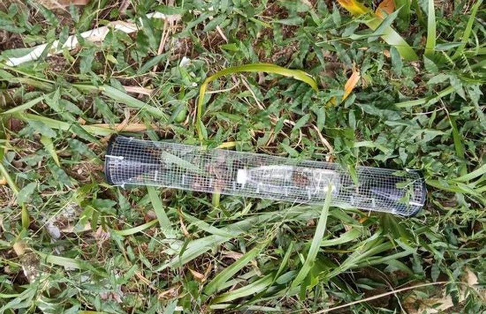 捕蛇工具。 捕蛇工具。