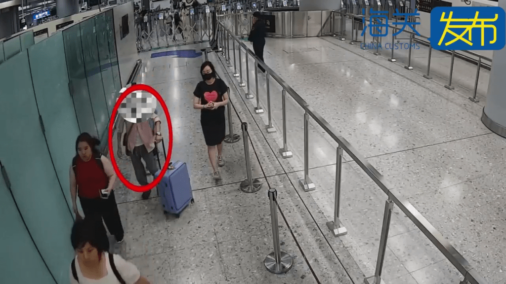 西九高鐵入境內地，男子行李傳刺鼻異味，關員揭「大麻扮茶葉」。 海關發佈