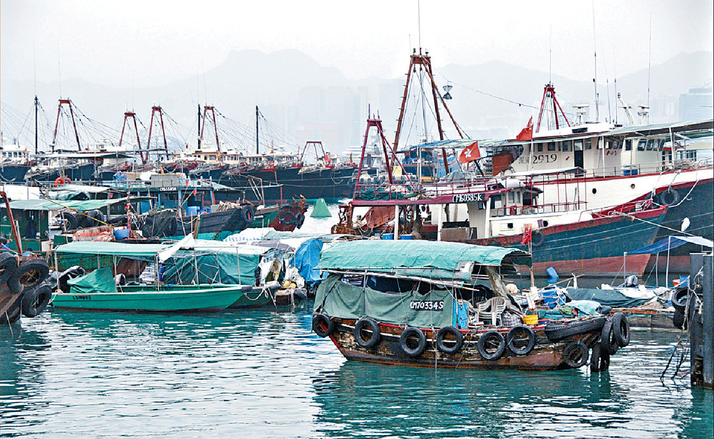 ■現時香港約有二千多艘持「兩地牌」的漁船，惟疫情下逾九成漁船未能啟航。