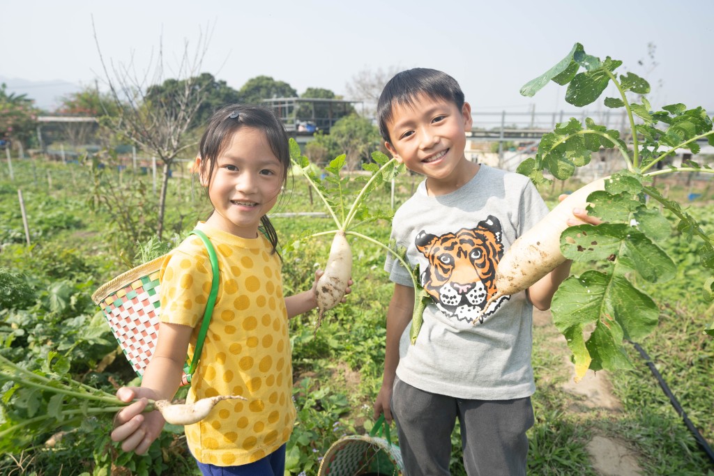 在農地摘完蔬果後，就準備燒烤了。