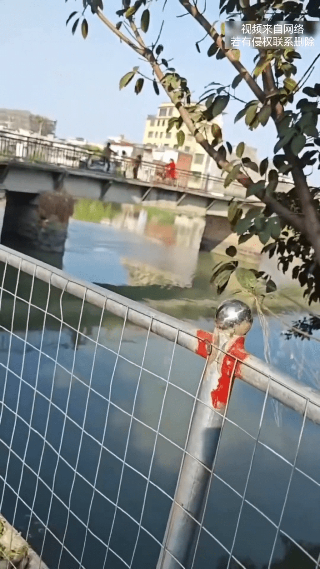 女子翻越欄杆跳河救人。 女子翻越欄杆跳河救人。