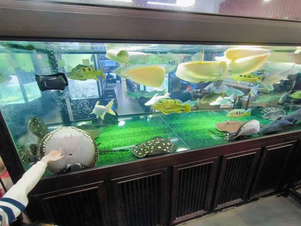 鱼类品种多（图片来源：Facebook@深圳大湾区国内吃喝玩乐开心分享区）
