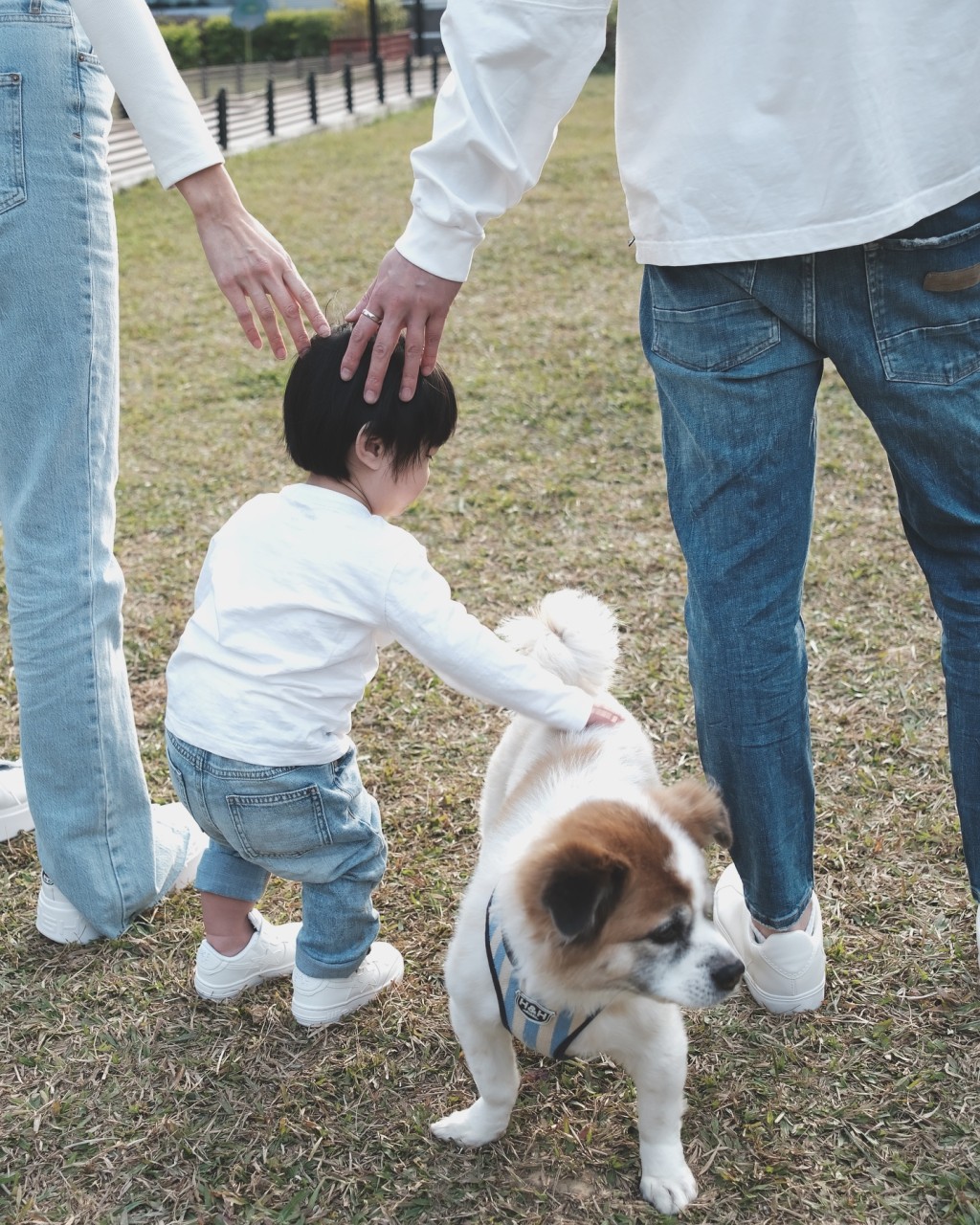 Kobe與愛犬相處和睦。