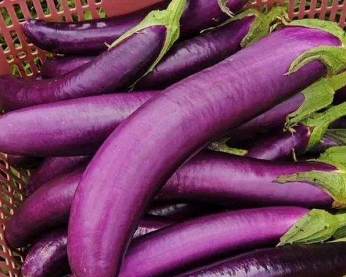 武漢有食物供應商涉抬價,1個茄子賣7元,被罰款300萬元人民幣。(網圖)