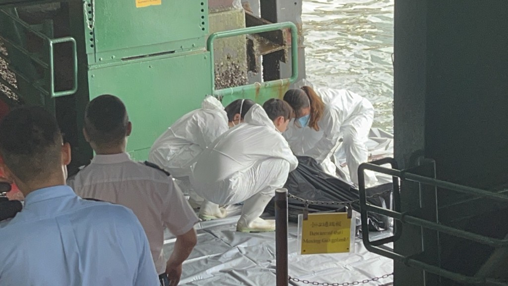 海洋公园保育基金职员到场，证实是江豚尸体。杨伟亨摄