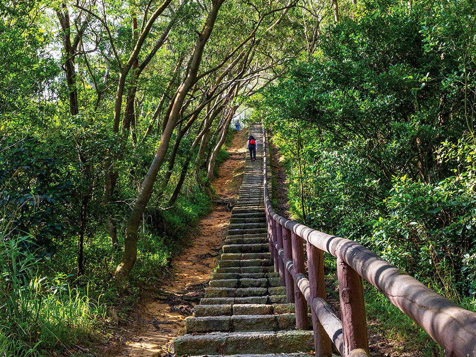 沿途都是石級和樹蔭（圖片來源：香港旅遊發展局）