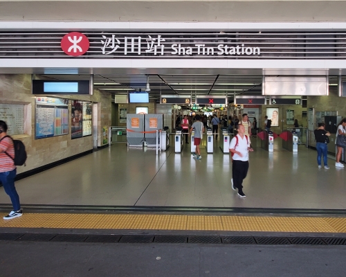 沙田站對開草地起火 。資料圖片